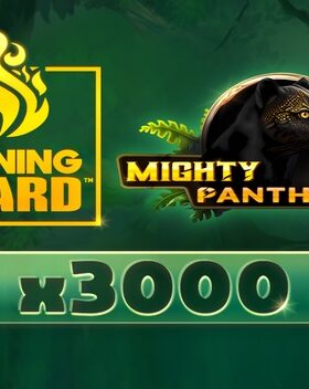 Mighty Wild — Panther Burning Board