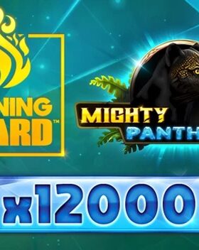 Mighty Wild — Panther Diamond Burning Board