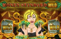 Money Standard Wild logo
