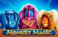Monkey Magic logo