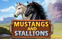 Mustangs and Stallions logo