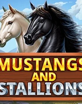 Mustangs and Stallions