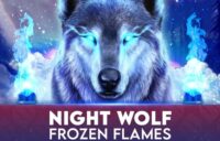 Night Wolf — Frozen Flames logo