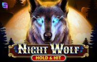 Night Wolf — Hold & Hit logo