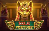 Nile Fortune logo