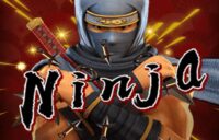 Ninja logo