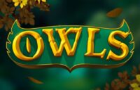 Owls logo