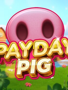 Payday Pig
