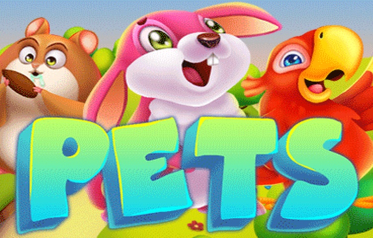 Pets