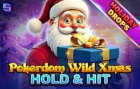 Pokerdom Wild Xmas — Hold & Hit logo