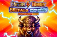 Power Boost Buffalo Express logo