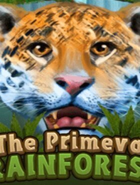 Primeval Rainforest