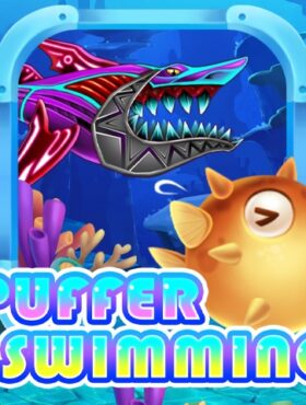 Puffer Swimming
