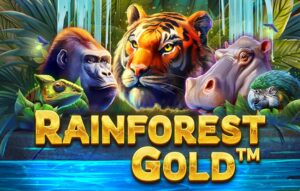 Rainforest Gold