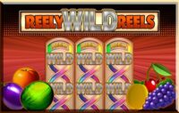 Reely Wild Reels logo