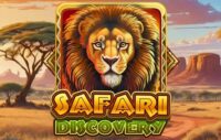 Safari Discovery logo