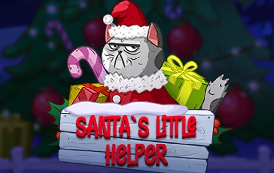 Santas Little Helper
