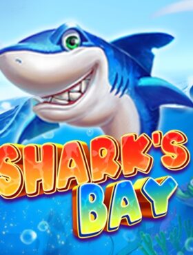 Sharks Bay