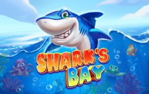 Sharks Bay