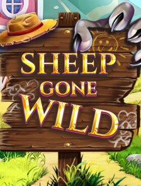 Sheep Gone Wild