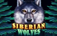 Siberian Wolves logo