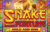 Snake Fortune Hold and Win logo