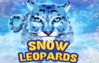 Snow Leopards logo
