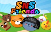 SNS Friends logo