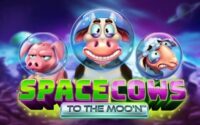 Space Cows to the Moo’n logo