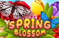 Spring Blossom logo