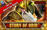 Story Of Odin logo