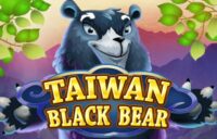 Taiwan Black Bear logo