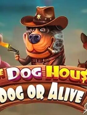 The Dog House — Dog or Alive