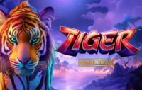 Tiger DoubleMax logo