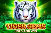 Tiger Gems logo