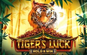 Tiger’s Luck Hold and Win