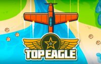 Top Eagle logo