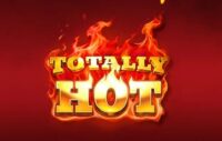 Totally Hot logo