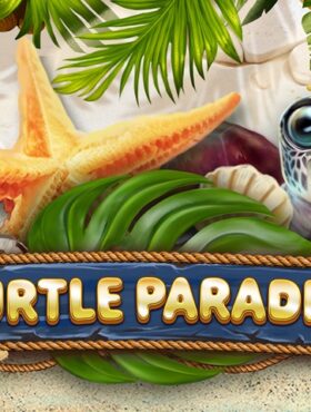 Turtle Paradise