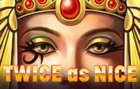 Twice as Nice logo