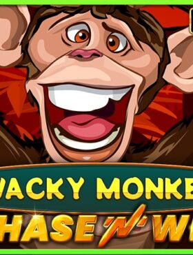 Wacky Monkey — Chase’N’Win