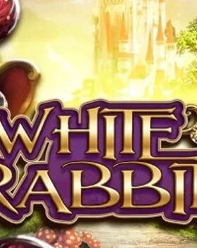 White Rabbit 2