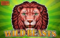 Wild Beasts logo