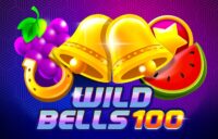 Wild Bells 100 logo