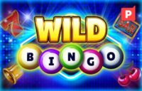 Wild Bingo logo