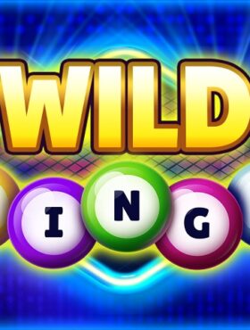 Wild Bingo