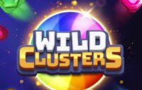 Wild Clusters logo