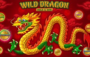 Wild Dragon Hold&Win