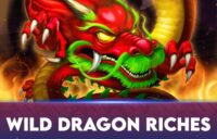 Wild Dragon Riches logo