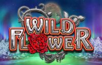 Wild Flower logo